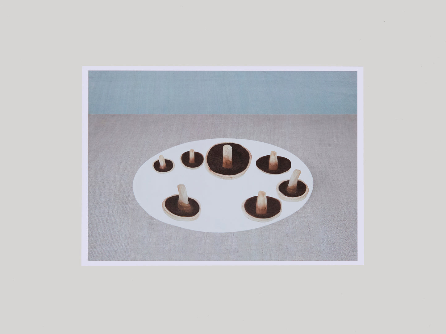 Still Life with Mushrooms on a White Plate